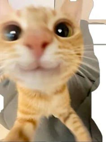 Şirket Elemanı#0000